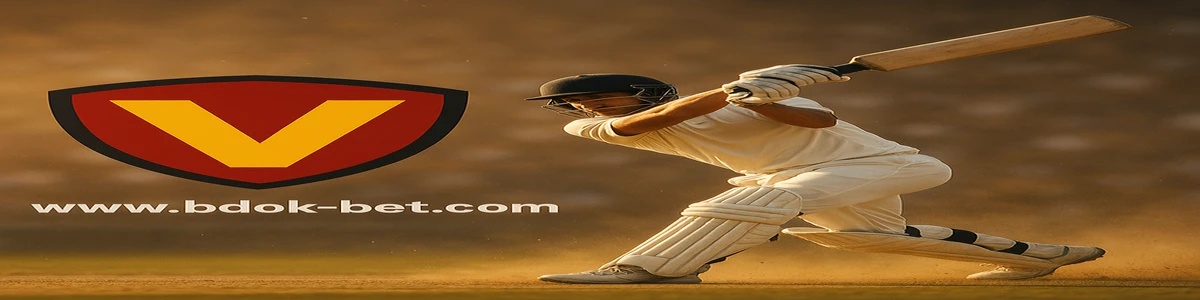 bdok বিবিএল লোগোর নকশার সারাংশ